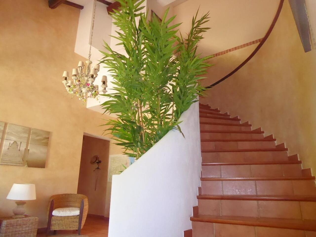 Mas Picton Hotel Argeles-sur-Mer Ngoại thất bức ảnh